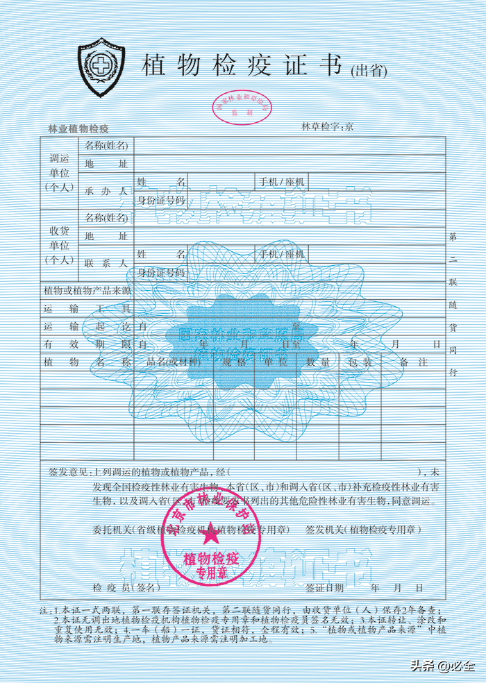 木材检疫证最新规定及其影响分析