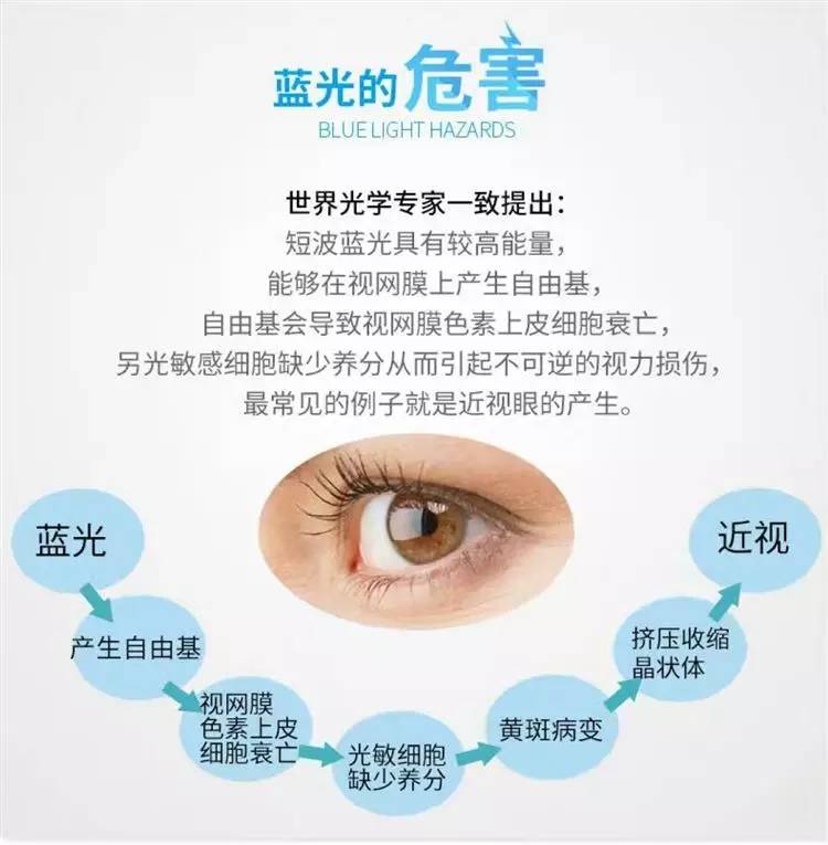 最新视网膜更换研究揭示未来眼科治疗新方向