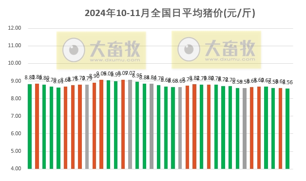 南充猪肉价格最新动态分析